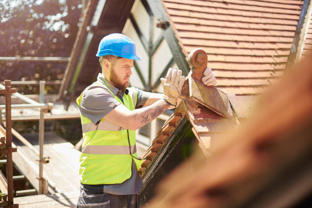 Professional Roofing Contractor in Sterling, VA