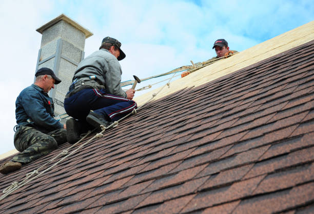 Best Storm Damage Roof Repair  in Sterling, VA